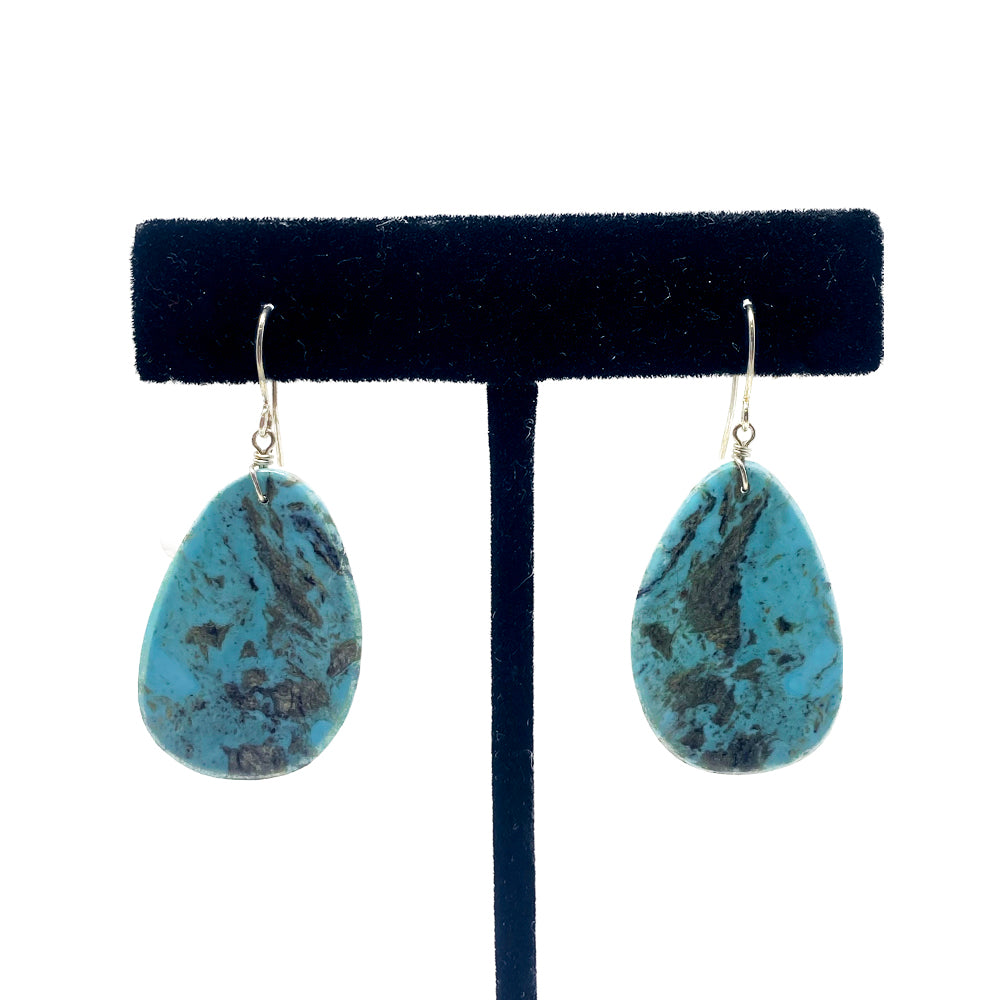 Earrings Colorado Turquoise Disk – Autry Museum Store