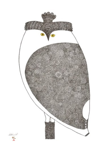 Owls: Inuit Art from Kinngait Boxed Notecards