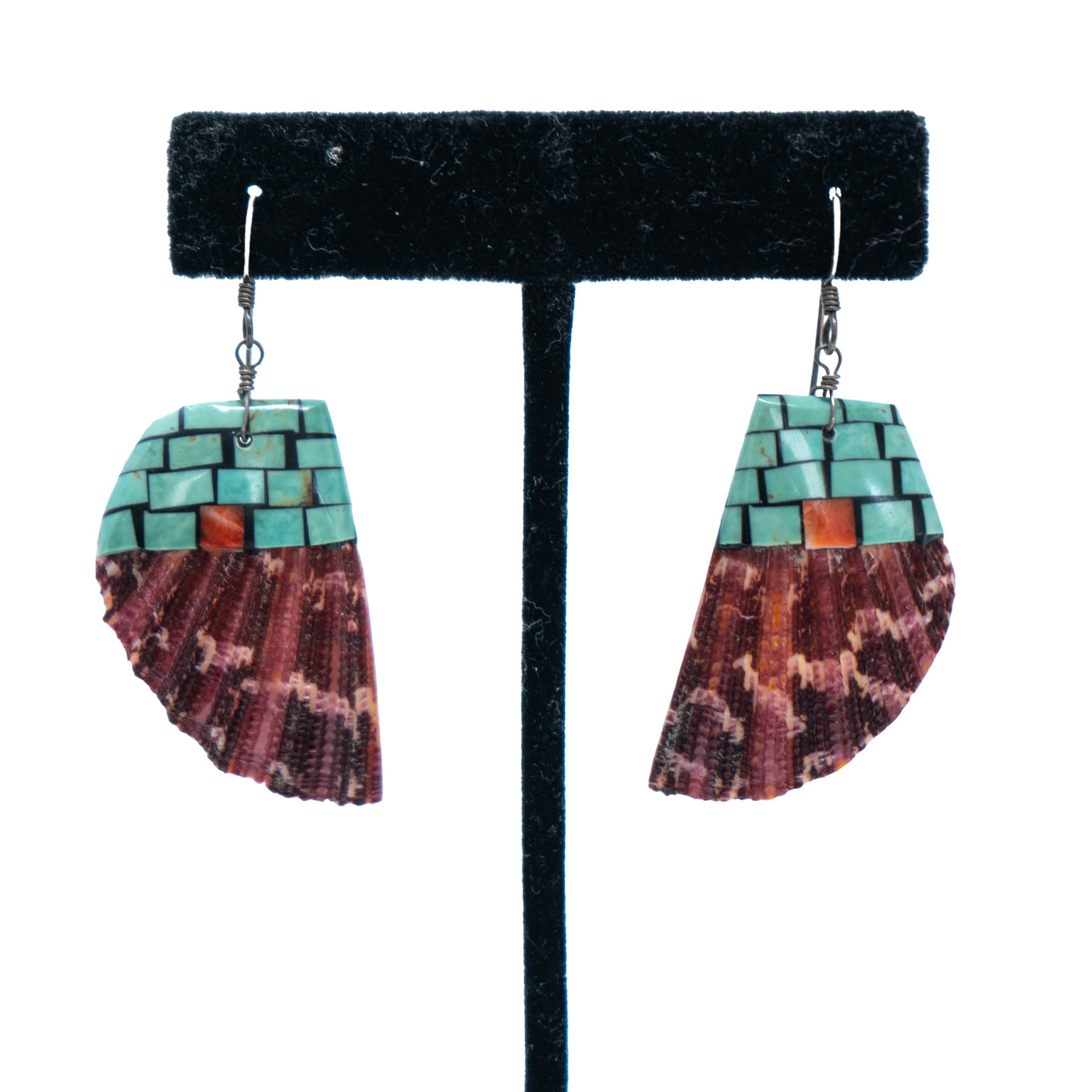 Earrings Turquoise on Pectin Shel