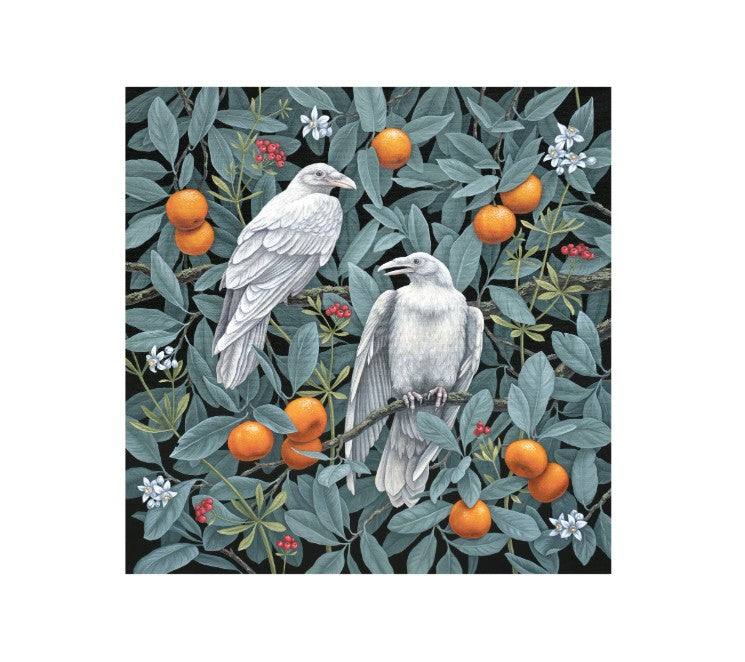 Birds of a Feather Boxed Notecards