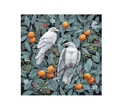 Birds of a Feather Boxed Notecards
