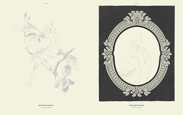 Coloready Birds: 20 Modern Paint-by-Number Prints