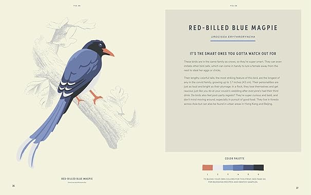 Coloready Birds: 20 Modern Paint-by-Number Prints