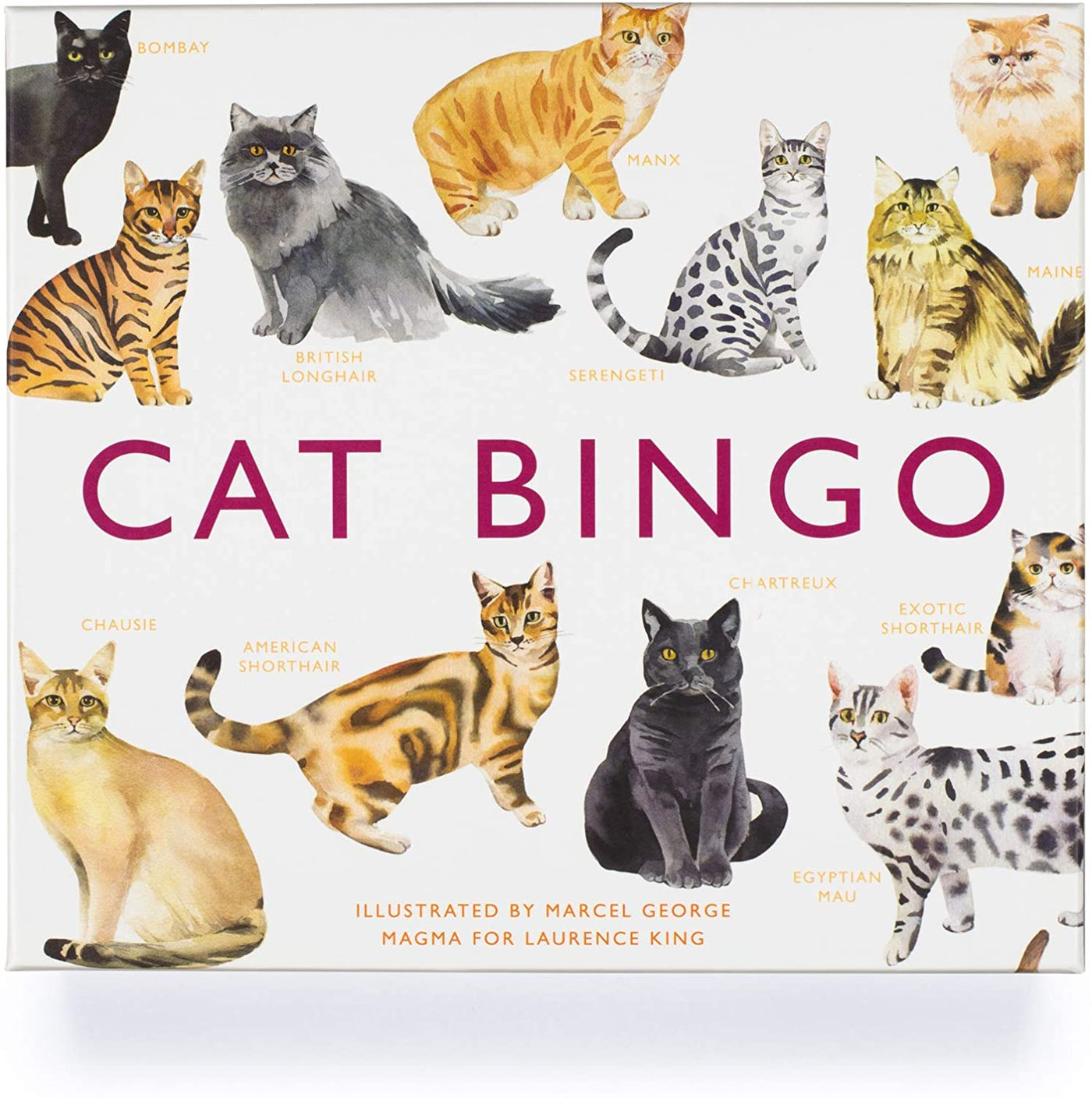 Cat Bingo Game