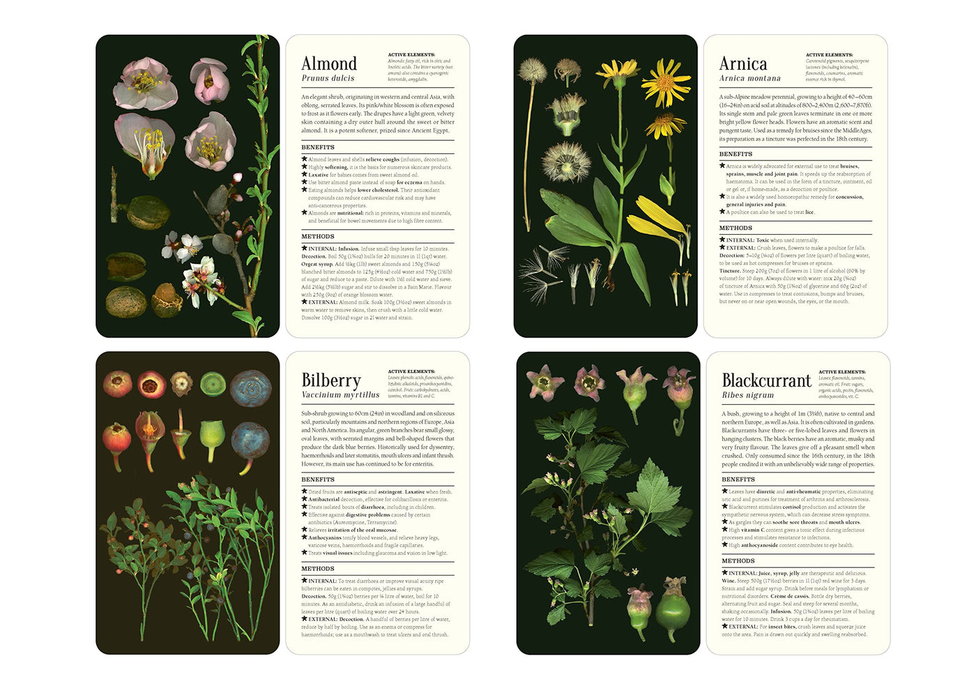 50 Plants that Heal Card Deck