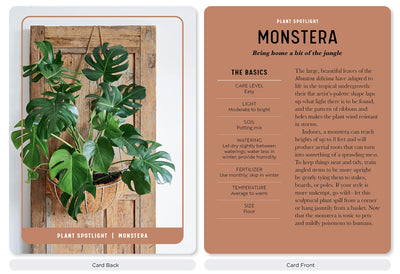 House Plant Card Deck