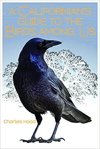 A Californian's Guide to Birds Among Us