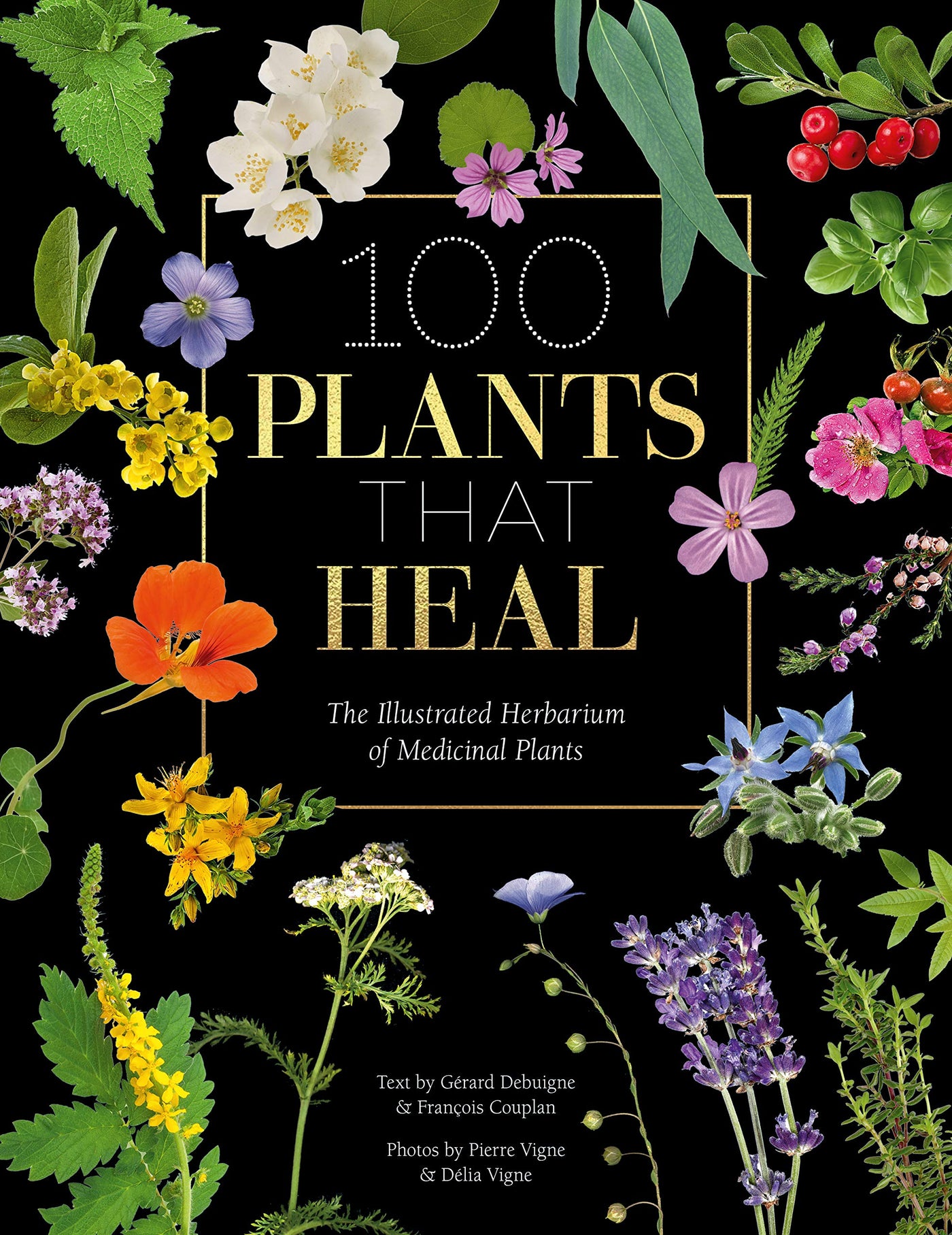 100 Plants That Heal
